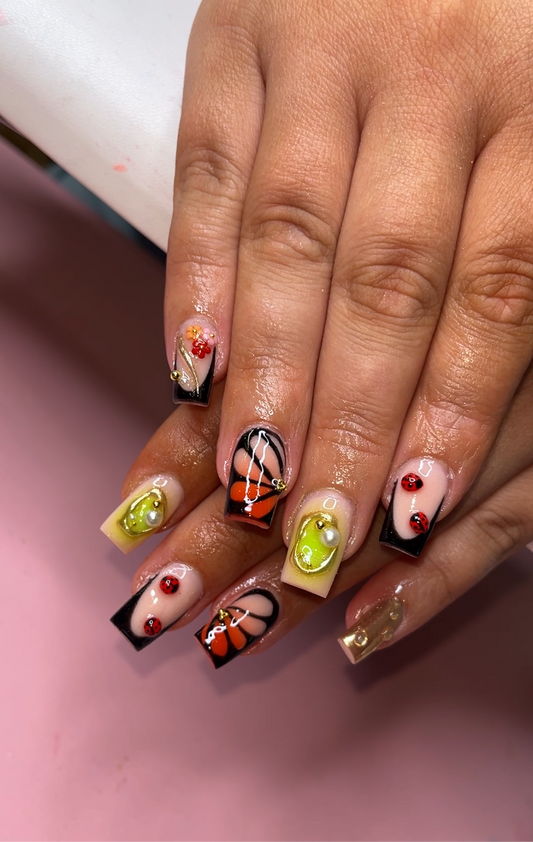 Freestyle Fill Starts At $65